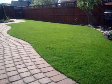 Fake Pet Turf Hacienda Heights California Landscape artificial grass